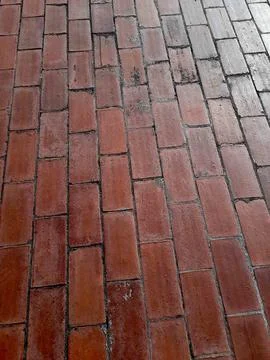 Shining, Red Tiled Pathway Stock Photos
