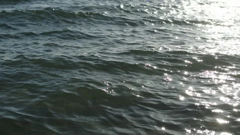 Shining sea Stock Footage 301835427