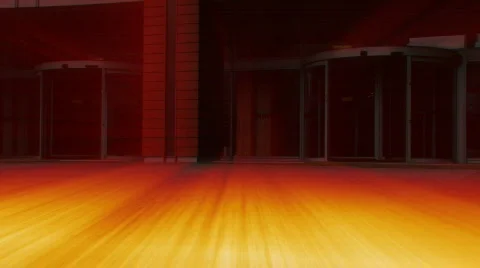 Shining shopper Stock-Footage 339166