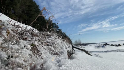 Shining snow closeup Stock Footage 171799034