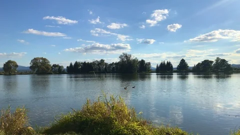Shining sun over the fish pond in summer day. Duck floating on water. Stock Footage 117683755
