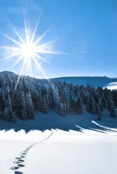 Shining sun Stock Photos