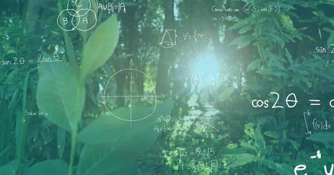 Shining sunlight filtering through leaf cluster on narrow forest path with 스톡 사진