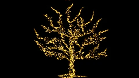 Shining tree motion graphics with night background Stock Footage 147192177