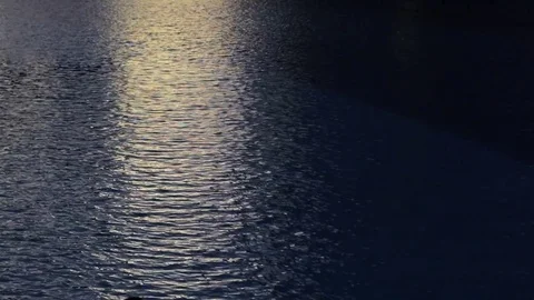 Shining water at sunset Stock Footage 75845948