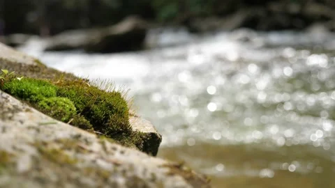 Shining waters of a mountain river flowing calmly among stony riverbanks Stock-Footage 162156282
