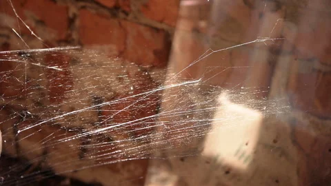 The shining web darkens when the rays of the sun fade Stock Footage 119785901