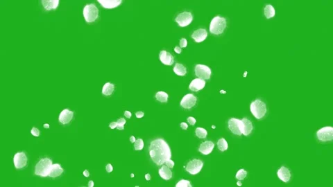 Shining white particles motion graphics with green screen background Stock Footage 233078253
