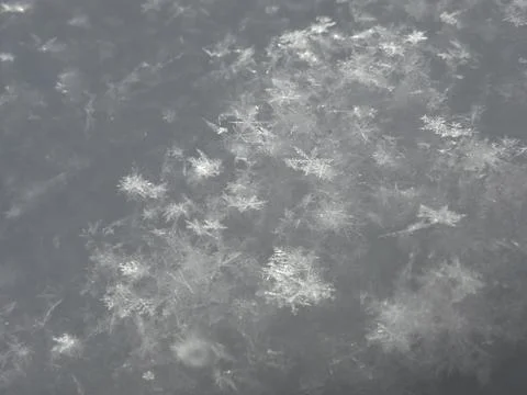 Shining white snow background with multiple snowflakes Stock Photos