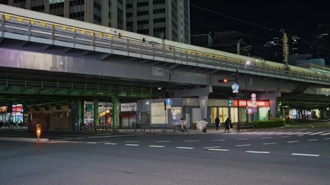 Shinkansen Train Passing on Elevated Tracks at Night in Japan Vídeos de archivo 339201522