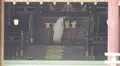 Shinto Priest Preforms Ceremony At Meiji Jingu Shrine 4k or 4k+ Resolution