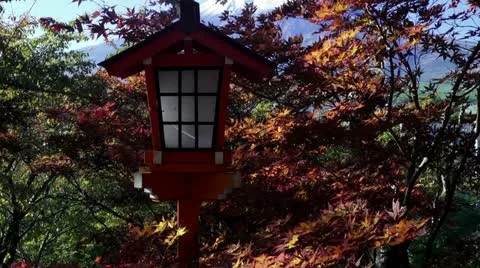 Shinto Shrine Lantern And Fall Colors Stock Footage 12410441