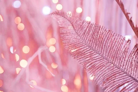 Shiny artificial feather. Bokeh, selective focus. Toned in pink Stock Photos