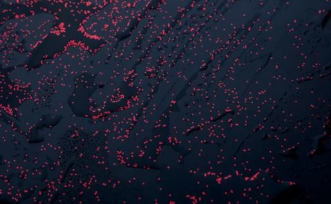 Shiny black background and texture 库存照片