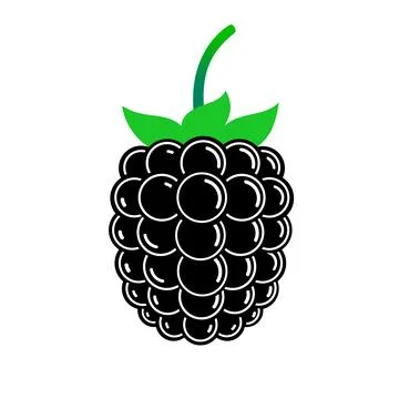 Shiny blackberry. Flat vector isolated on white. Stock Illustration