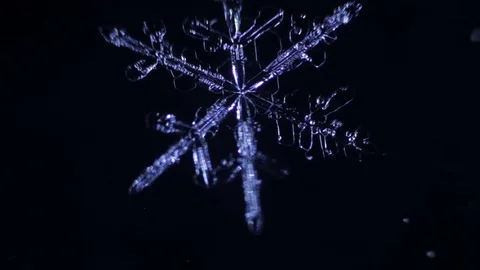 Shiny blue snowflake melts Stock Footage 72788070