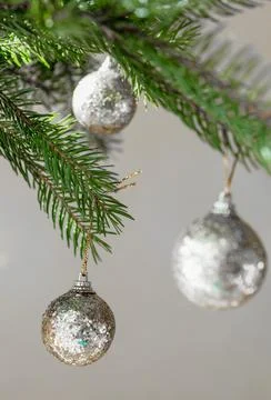 Shiny Christmas silver balls on a spruce branch on a light background Stock Photos