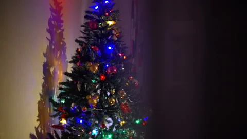 Shiny Christmas Tree in the Evening Vídeos de archivo 100741828