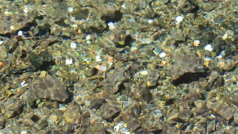 Shiny coins in the stream Stock Footage 98214942