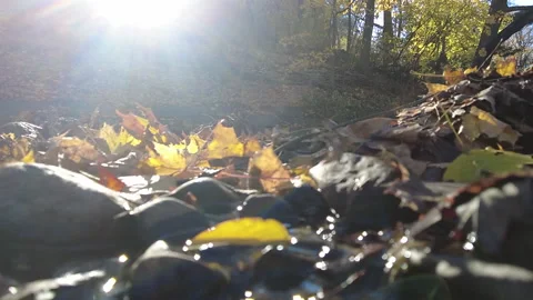 SHINY CREEK Stock Footage 193724193