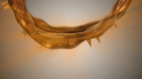 A Shiny crown of thorns on top white Stock Footage 155233598