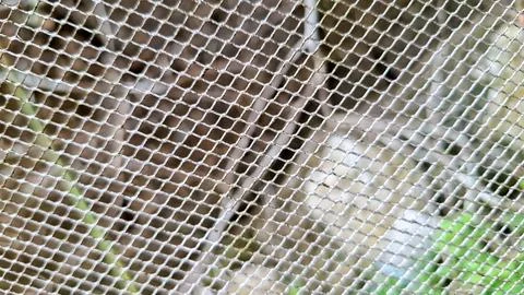 Shiny Diamond Wire Mesh Net Fence Texture Pattern Stock Photos