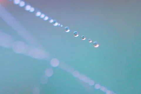 Shiny drops on the abstract spider web in the nature Foto stock
