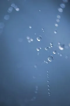 Shiny drops on the abstract spider web in the nature Stock Photos