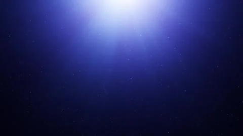Shiny flickering dots with 3d blue shining light loop background Stock Footage 337430059