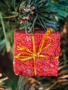 Shiny gift box on the tree Stock Photos