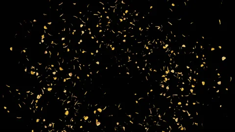 Shiny Gold Confetti With QuickTime / Prores 4444 / Alpha Channel Stock Footage 134508543