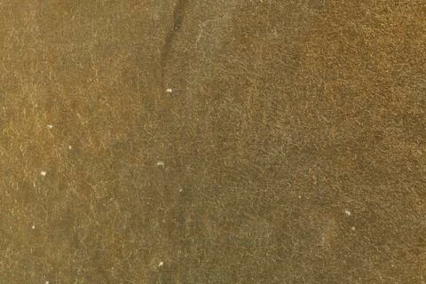 Shiny goldleaf texture Stock Photos