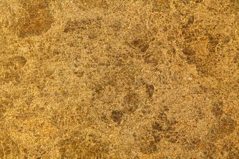 Shiny goldleaf texture Stock Photos