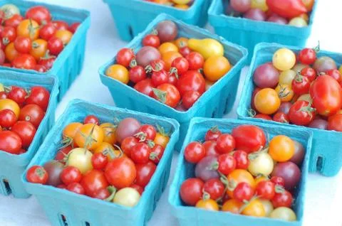 Shiny grape tomatoes Stock Photos