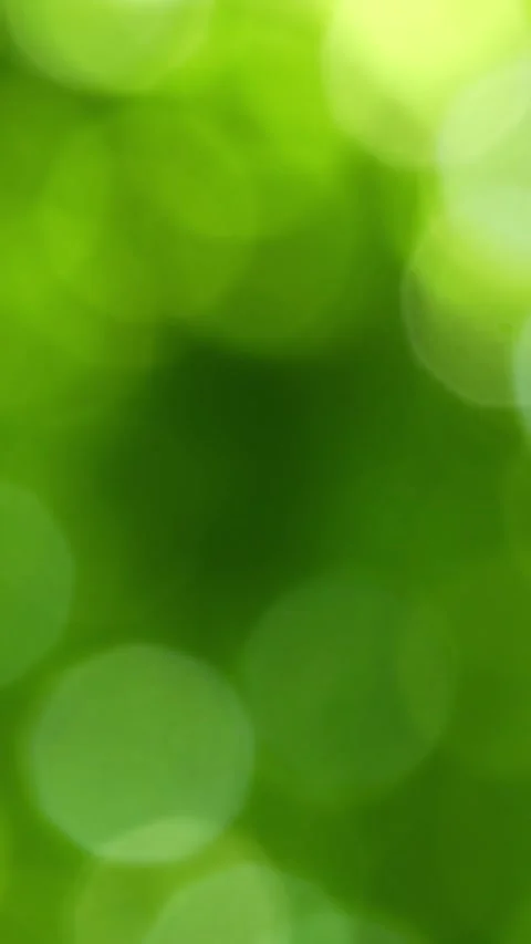 Shiny green bokeh lights Stock Footage 276223630