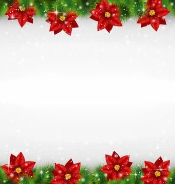 Shiny green pine branches like frame with flower of poinsettia i Stock Illustration