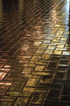 Shiny ground Stock Photos