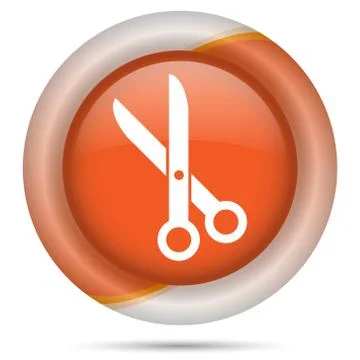 Shiny icon 스톡 일러스트