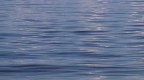 Shiny lake surface Stock Footage 982586