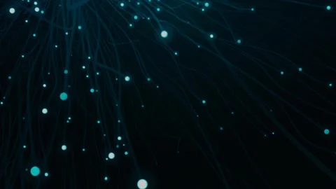 Shiny Lights Lines Animation  Stock Footage 240540230