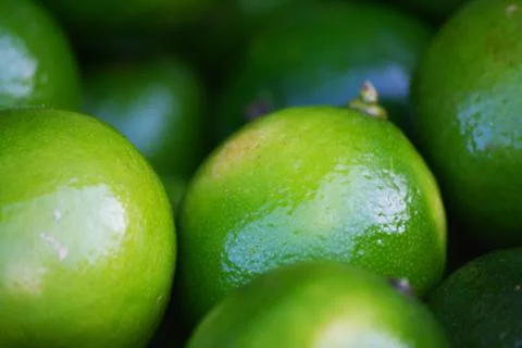 Shiny lime at the market Stock Photos