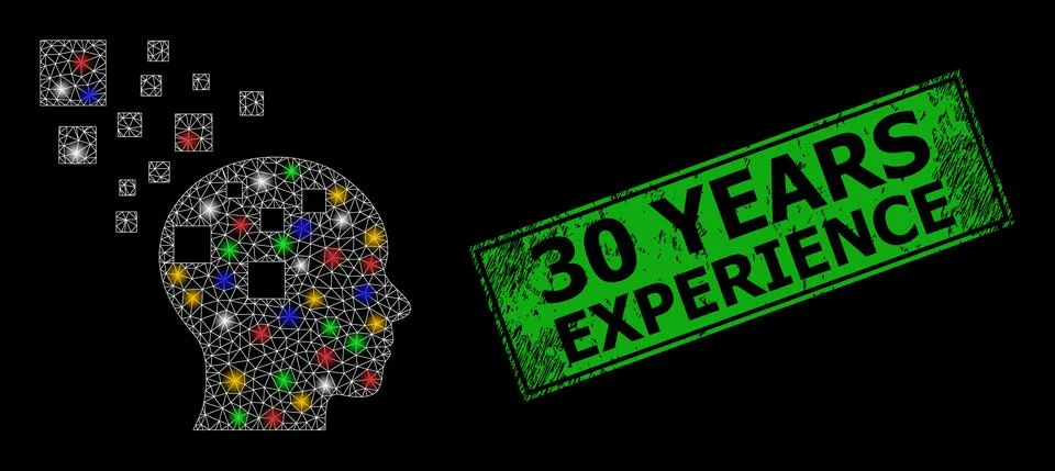 Shiny mesh web memory compilation with colorful flash nodes, and grunge 30 Ye Illustrazione stock