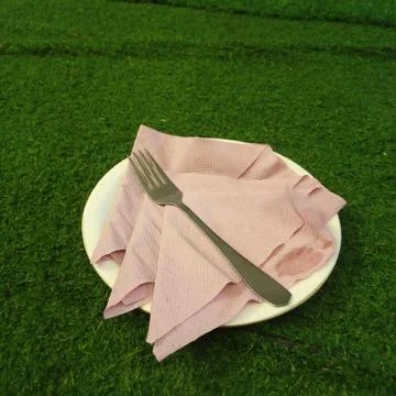Shiny metal dining fork resting on pink paper napkins white ceramic plate Stock-Fotos