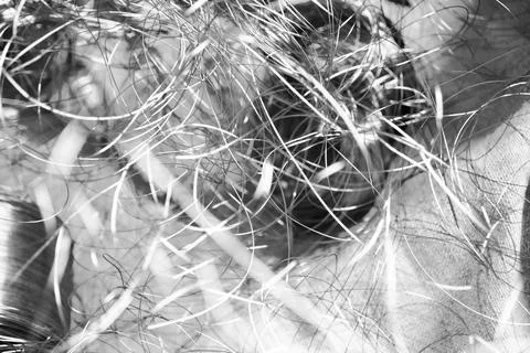 Shiny metallic tangled wire abstract texture background. Stock Photos