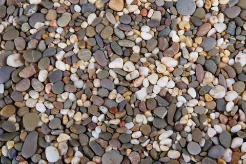 Shiny Multi Colored Pebbles on Ocean Shore Stock Photos