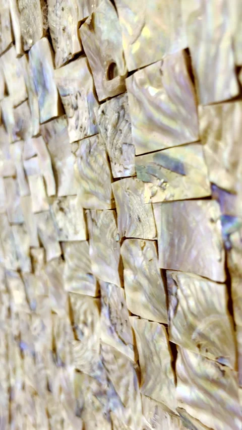 Shiny nacre pieces from abalone shells in abstract pattern Stock Footage 344010721