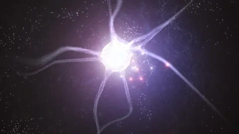 Shiny neuron cell in the brain network animation Stock Footage 337536147