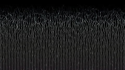Shiny parallel lines or stripes moving wavy pattern on black background Stock Footage 296042361