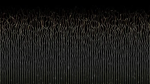 Shiny parallel lines or stripes moving wavy pattern on black background Stock Footage 296042559