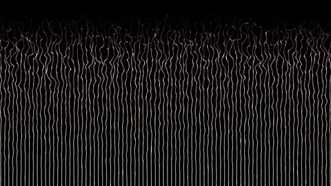 Shiny parallel lines or stripes moving wavy pattern on black background Stock Footage 296042956